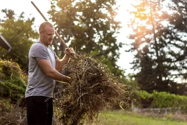 Yard Waste Removal in Montclair, NJ